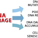 DNA Health Monitoring Campaign on Indiegogo Raises $20K in First Days