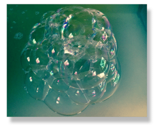 Bubble-300x249.png