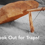 Potential Pitfalls of Regulation CF – Part II: Practical Concerns for Funding Portals